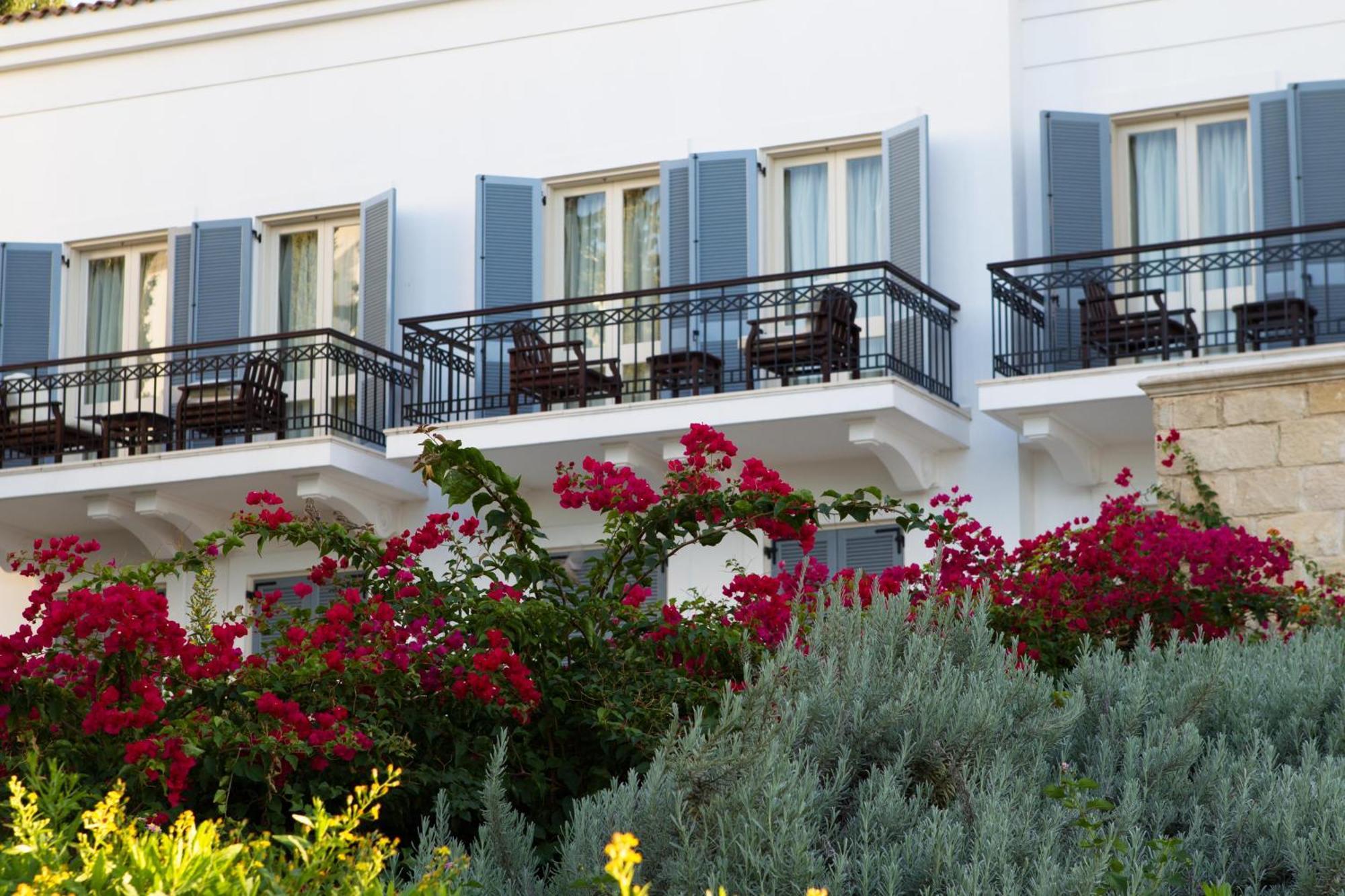 Anassa Hotel Polis Phòng bức ảnh